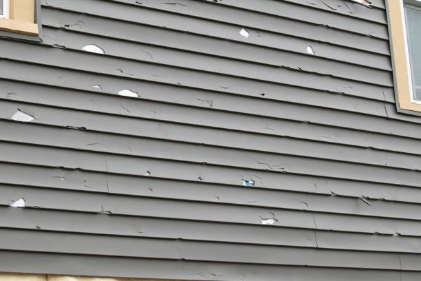 Best Historical Building Siding Restoration  in Burleson, TX